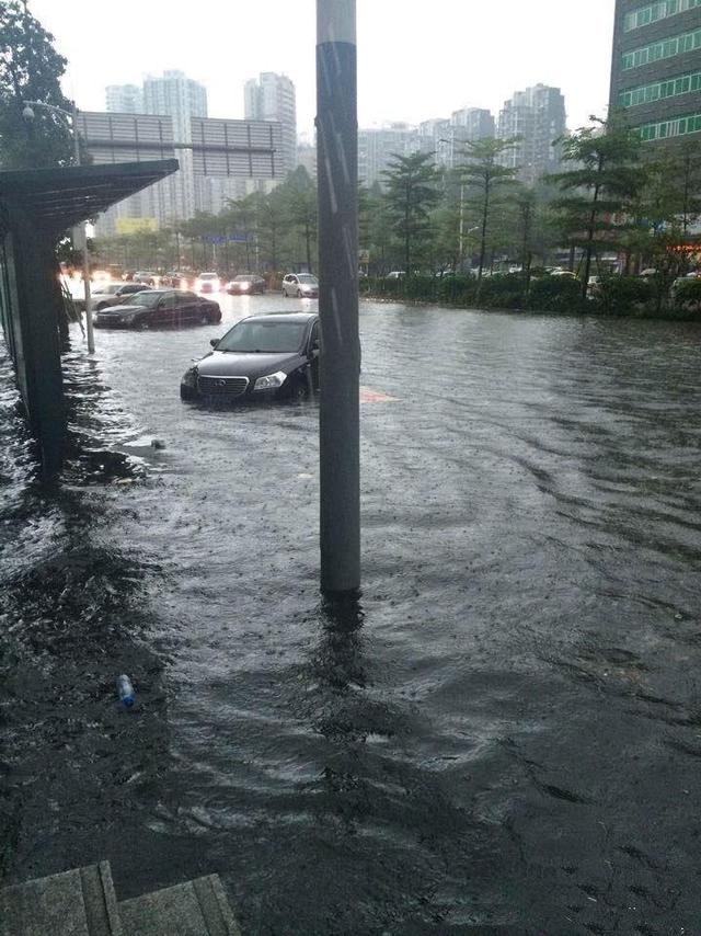 深圳大雨最新